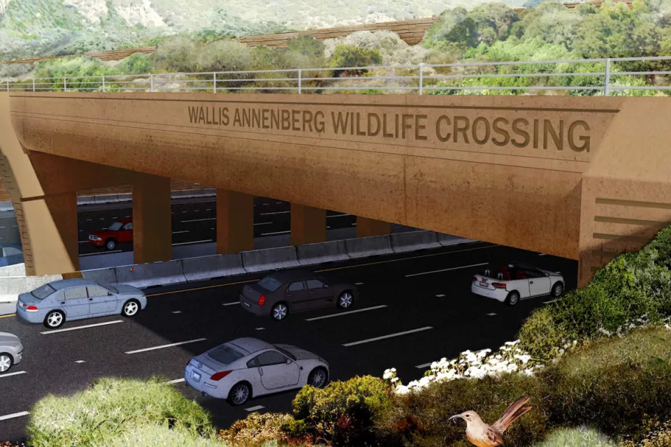 Rendering of wildlife crossing over 101 freeway in Los Angeles County.